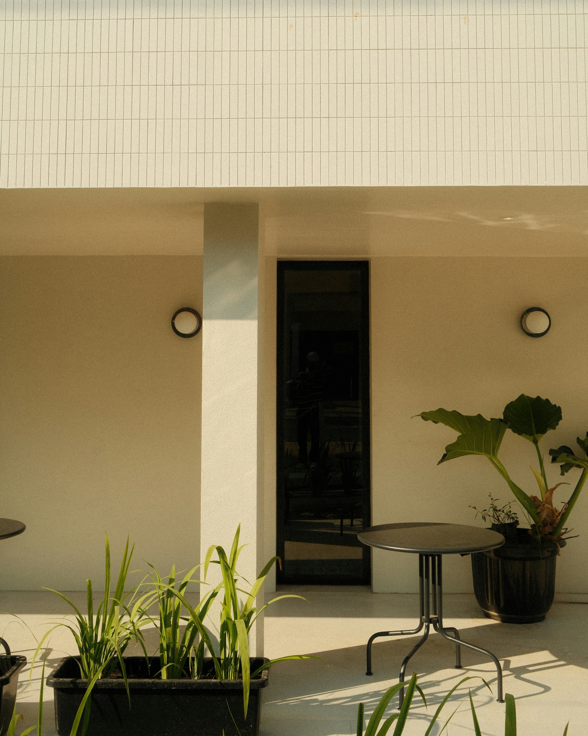 Freestanding pergola with compliant design in backyard